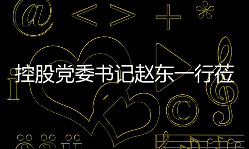 环境控股一行莅临党委赵东指导工作书记