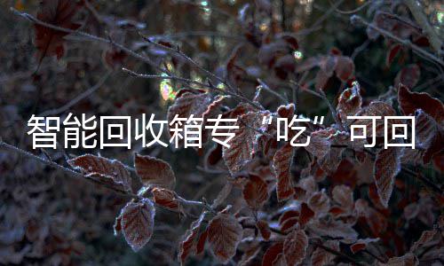 回收回收可垃圾箱专智能吃