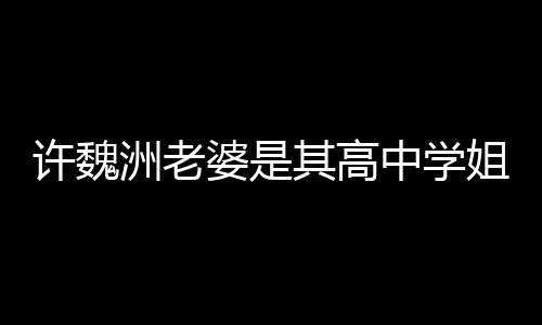 婆是已交年达4其高妻子许魏许魏洲老中学洲和往长姐