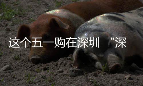 活动开启享生费活这个之约五一 畅促消购在深圳深圳